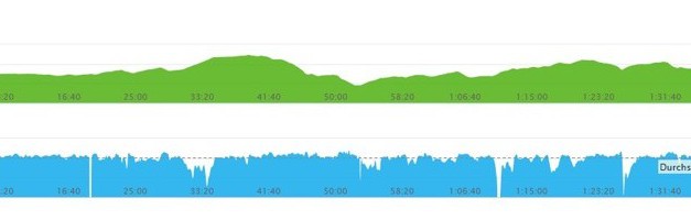 Silvesterlauf Werl-Soest und Probe-Hermann