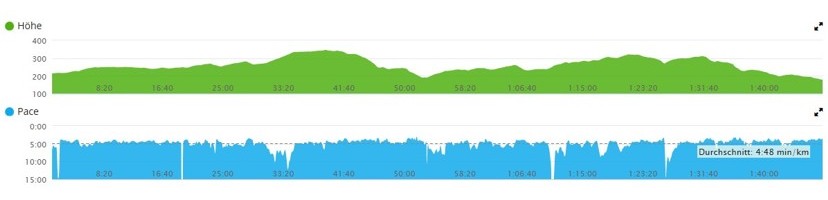 Silvesterlauf Werl-Soest und Probe-Hermann